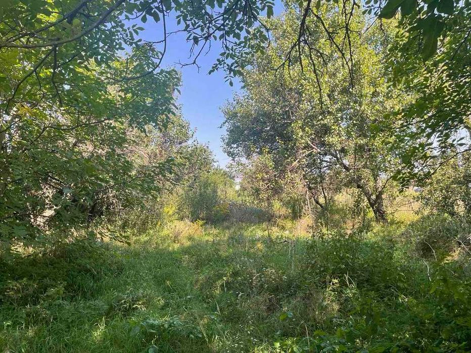 Будинок в центрі с.Дернівка