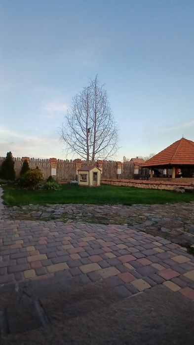 Власник. Продам будинок   в Ц-міському р