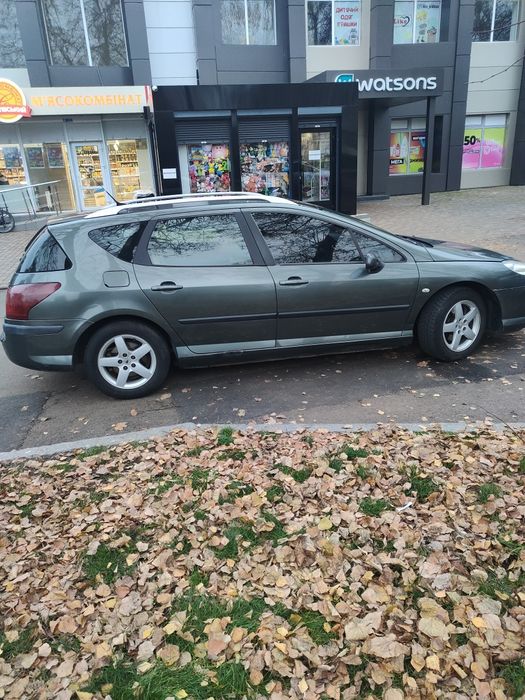 Обміняю пижика розглянув всі варіанти пропонуйте