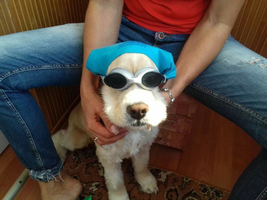 Жених-американец !!!