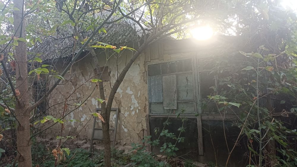 Земельна ділянка