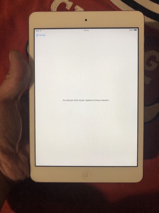 Ipad Mini 1 A1432 Состояние Блмба забила Айклауд