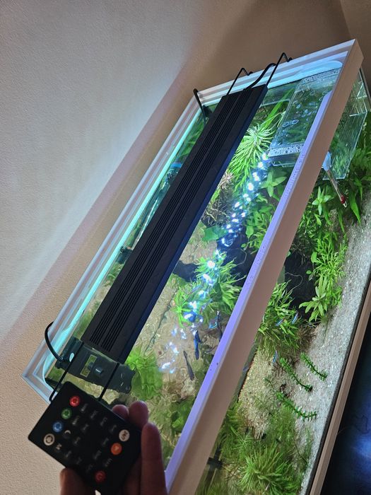 Aquário AquaPop ECO 60