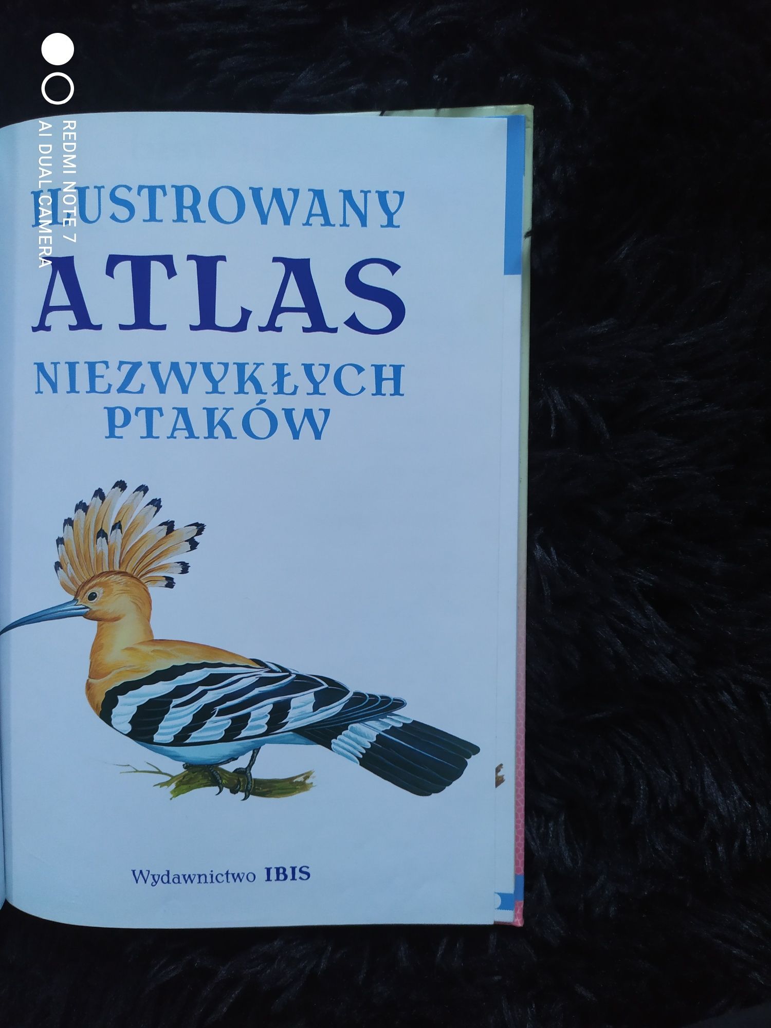 Ilustrowany atlas niezwykłych ptaków