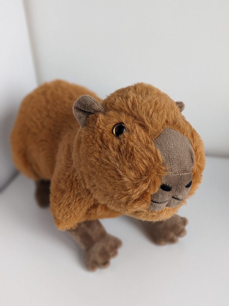 Capybara. Капібара. Капибара іграшка
