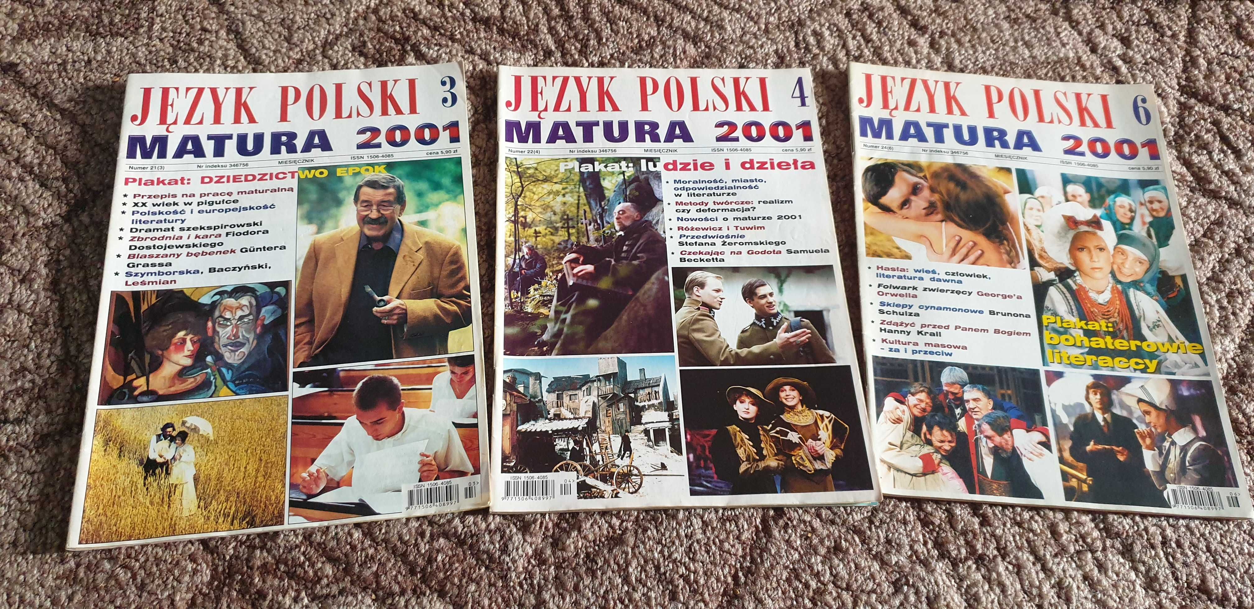 Materiały do matury - Język Polski - Matura 2001