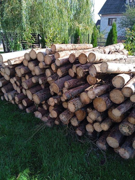 Drewno opałowe sosnowe-suche lub mokre