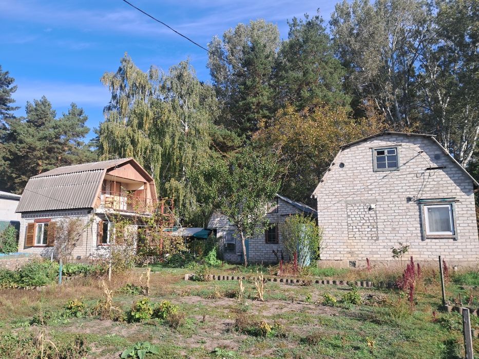 Дача в межах міста