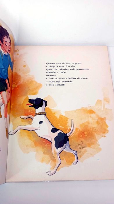 Animais Nossos Amigos