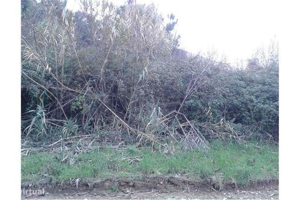 Terreno  para venda