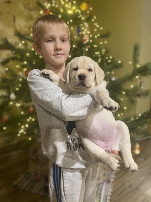 Розплідник КСУ. Суперові цуценята.