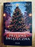 Przerwa świąteczna Joanna Tekieli