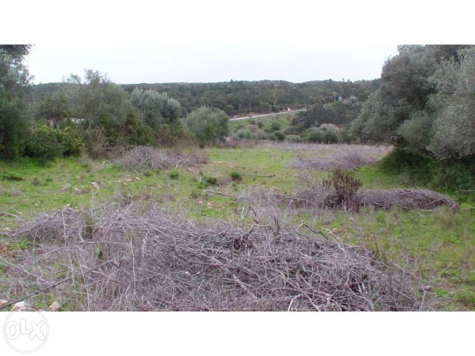 Terreno Aljezur (Parque natural)