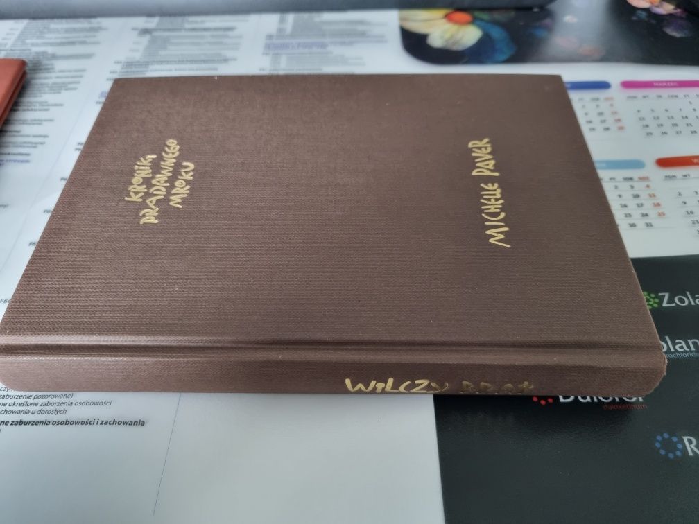 "Wilczy brat" Michelle Paver Kroniki Pradawnego Mroku tom 1