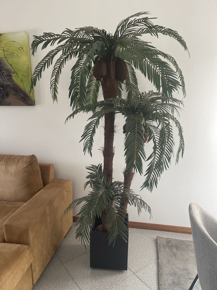 Planta decorativa