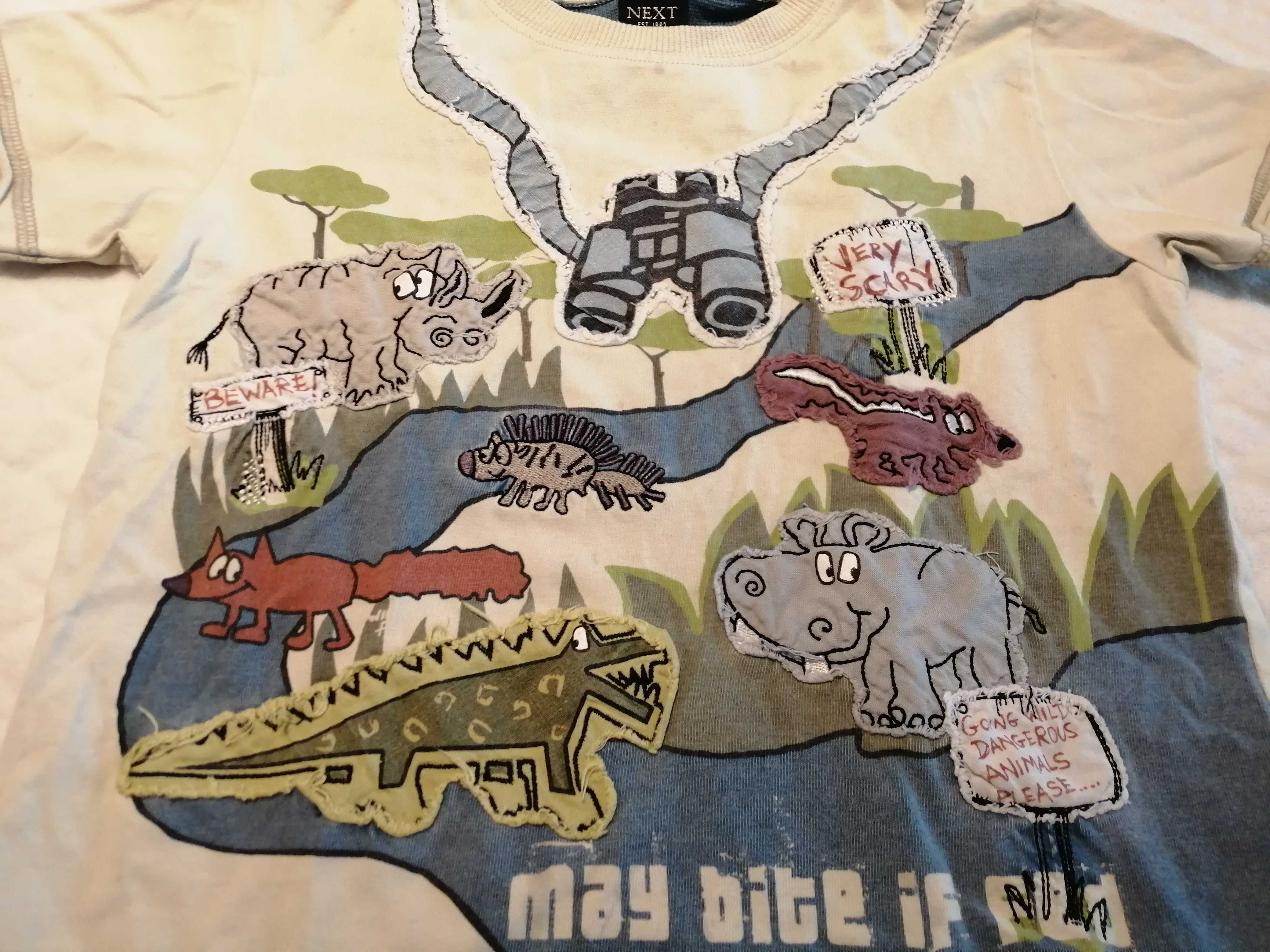 Koszulka, krótki rękaw, T-shirt, chłopięca, safari, 98, Next (Odzież)