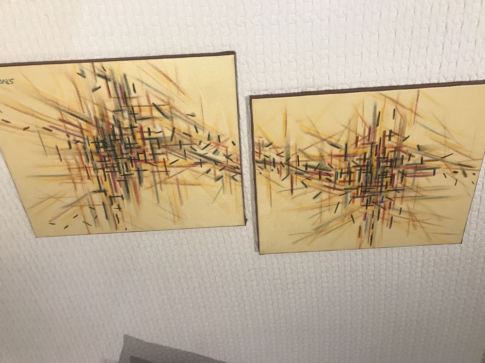 Quadros em tela novos 33*41