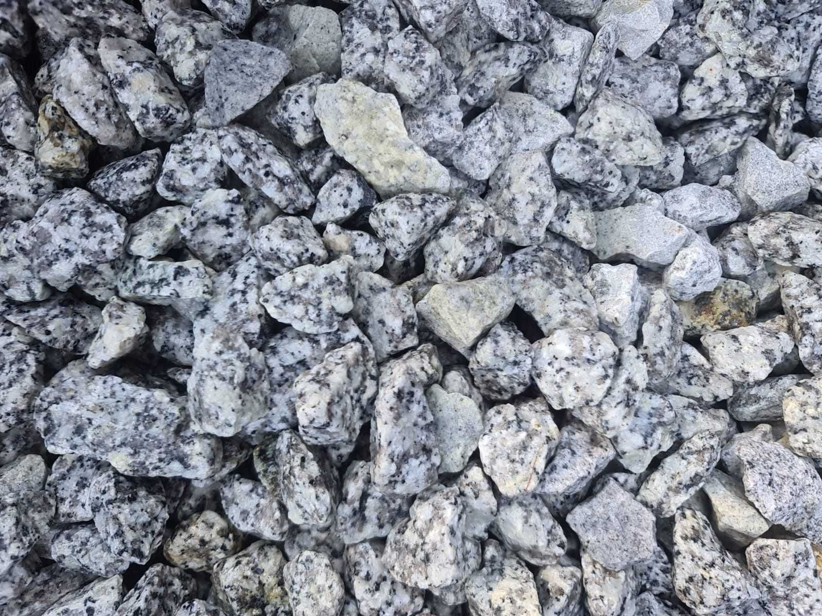 Kamień ozdobny, ogrodowy - Grys granitowy Dalmatyńczyk 8-16 Hurt-detal