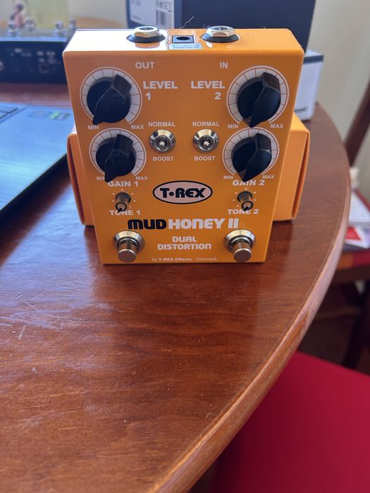 T Rex Mudhoney 2