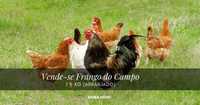 Frangos do campo / kg