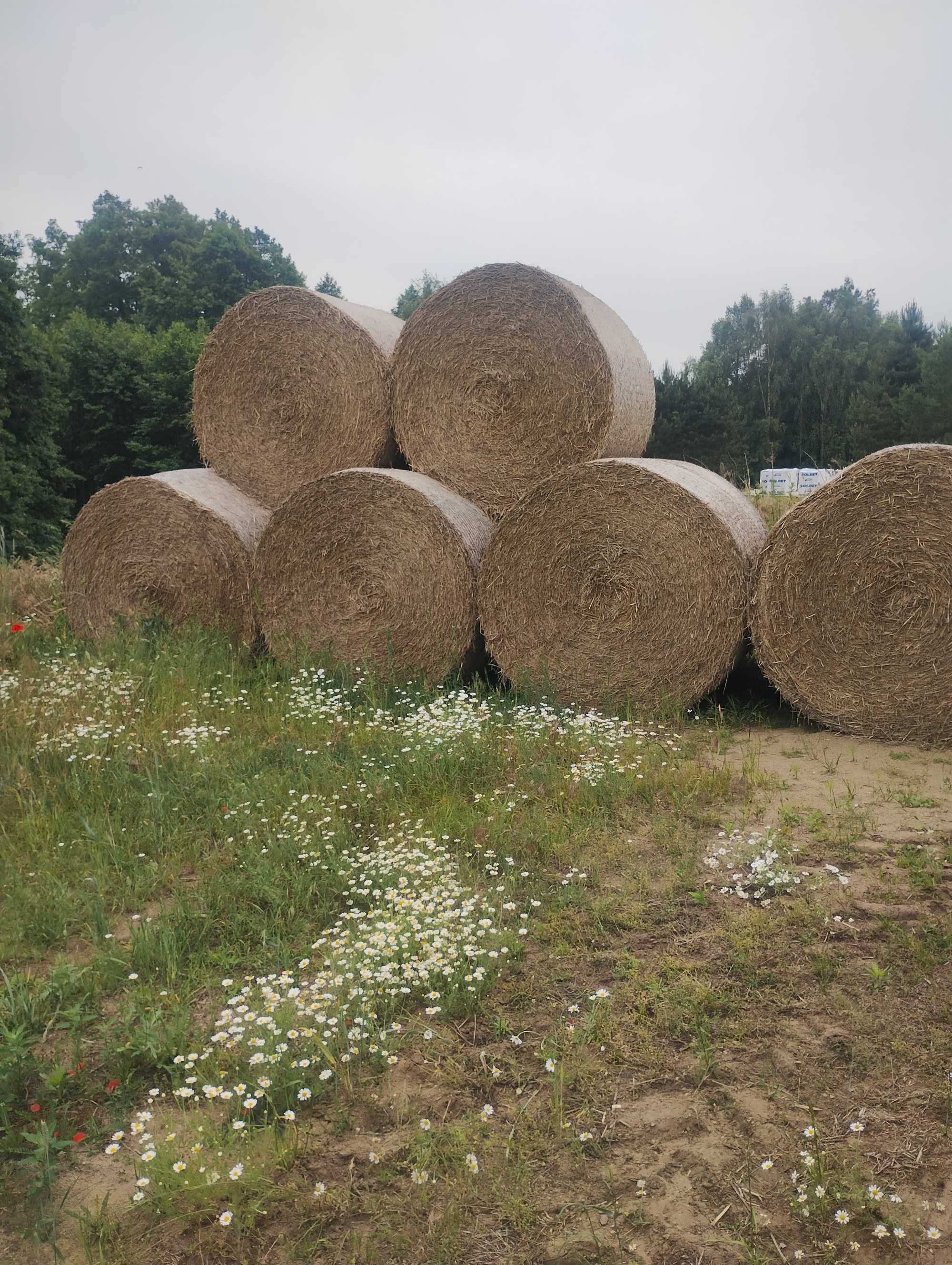 Prasowanie słomy siana trawy, presowanie, balotowanie, belowanie