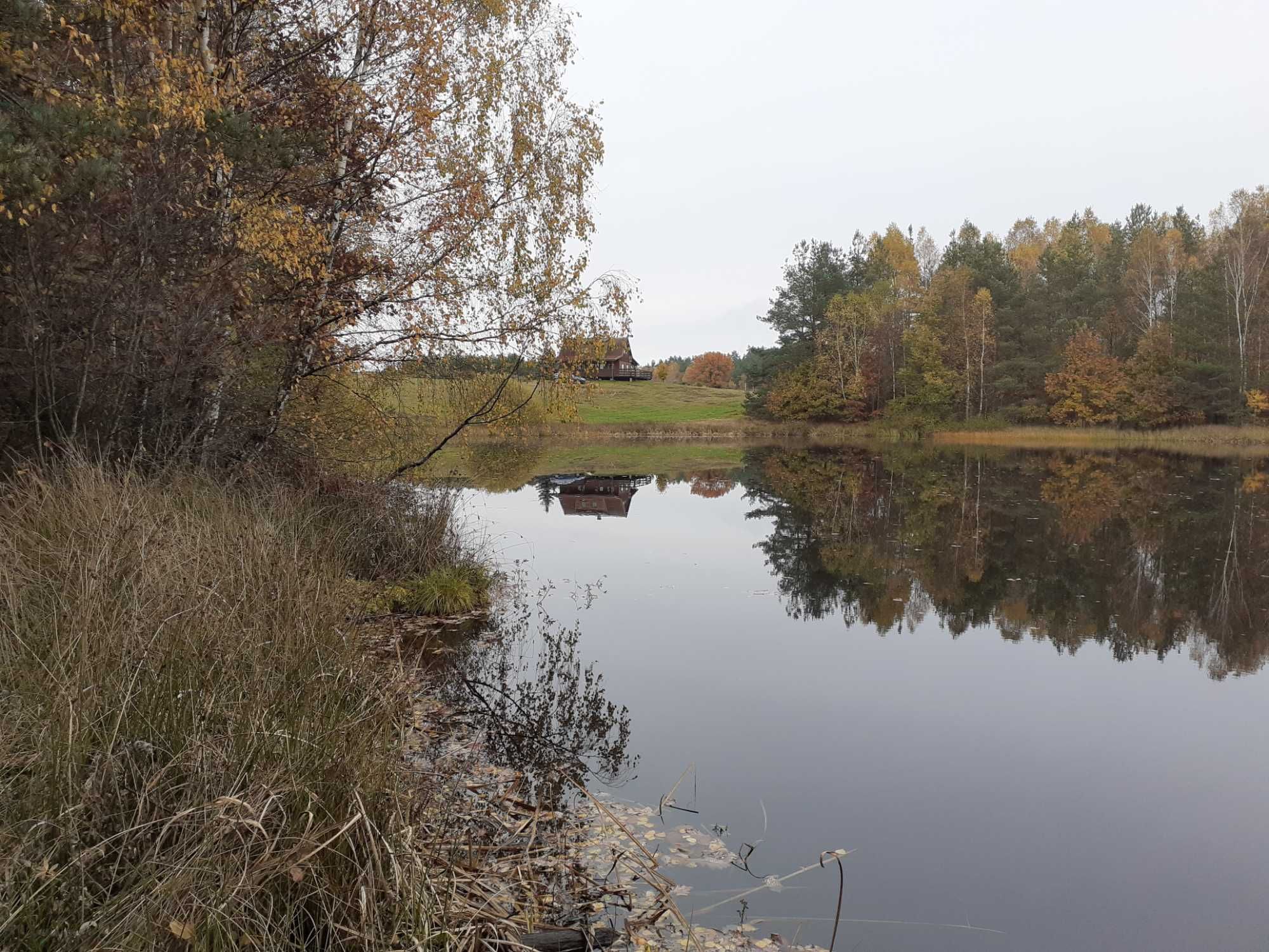 Domek do wynajęcia nad jeziorem, Kaszuby, Linia