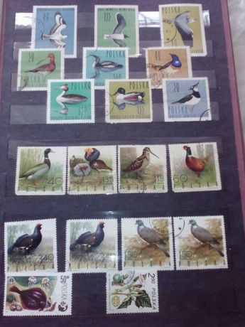 Klaser ze znaczkami duży różne kolekcje
