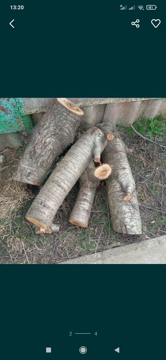 Дрова на шашлыки вишня , абрикос