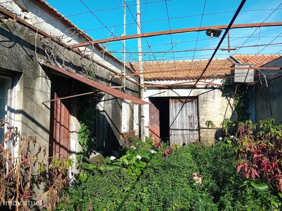 Moradia Térrea para Recuperar em Mataduços - Oportunidade Única!
