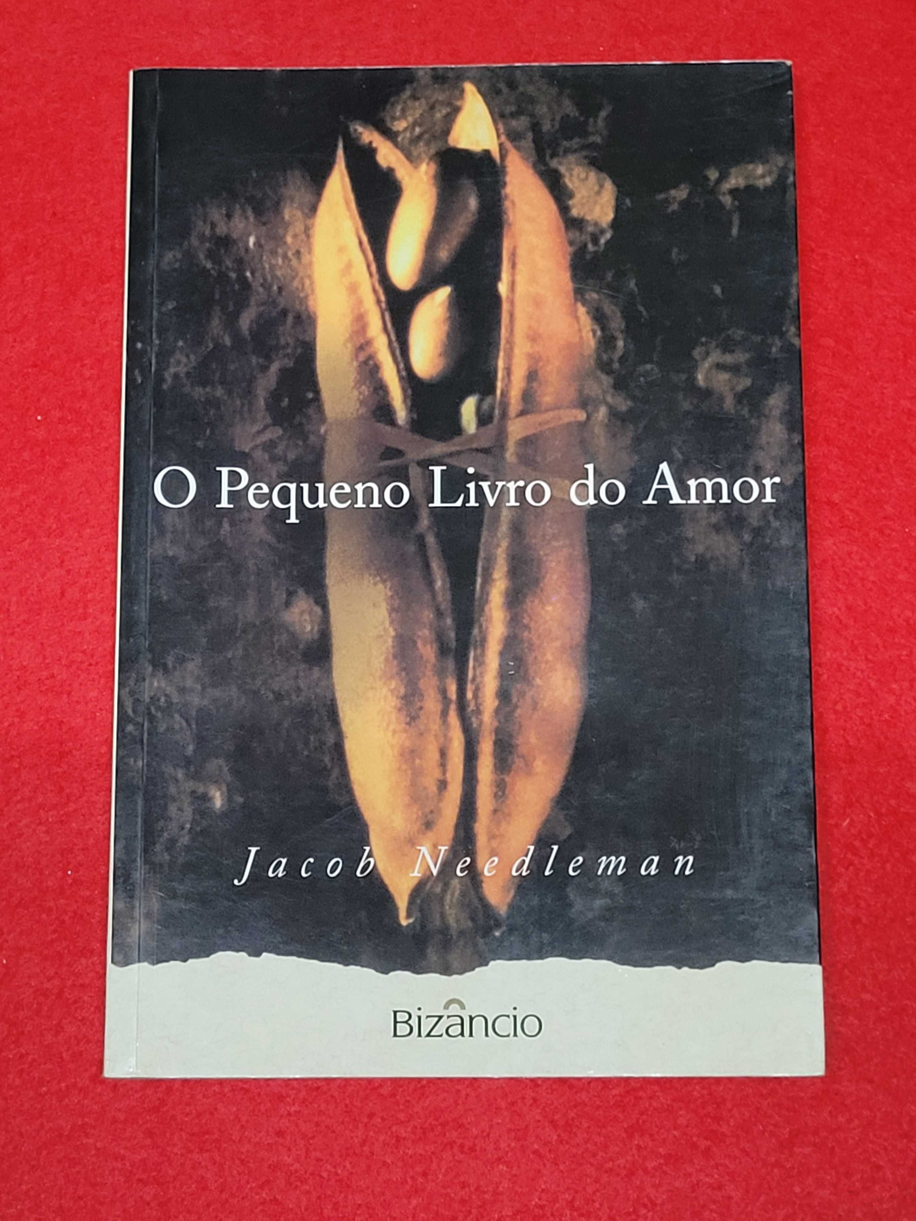 O Pequeno Livro Do Amor- Jacob Needleman