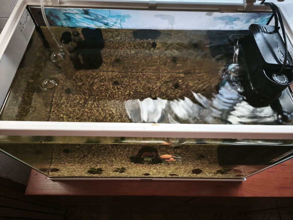 Aquário Aquatlantis