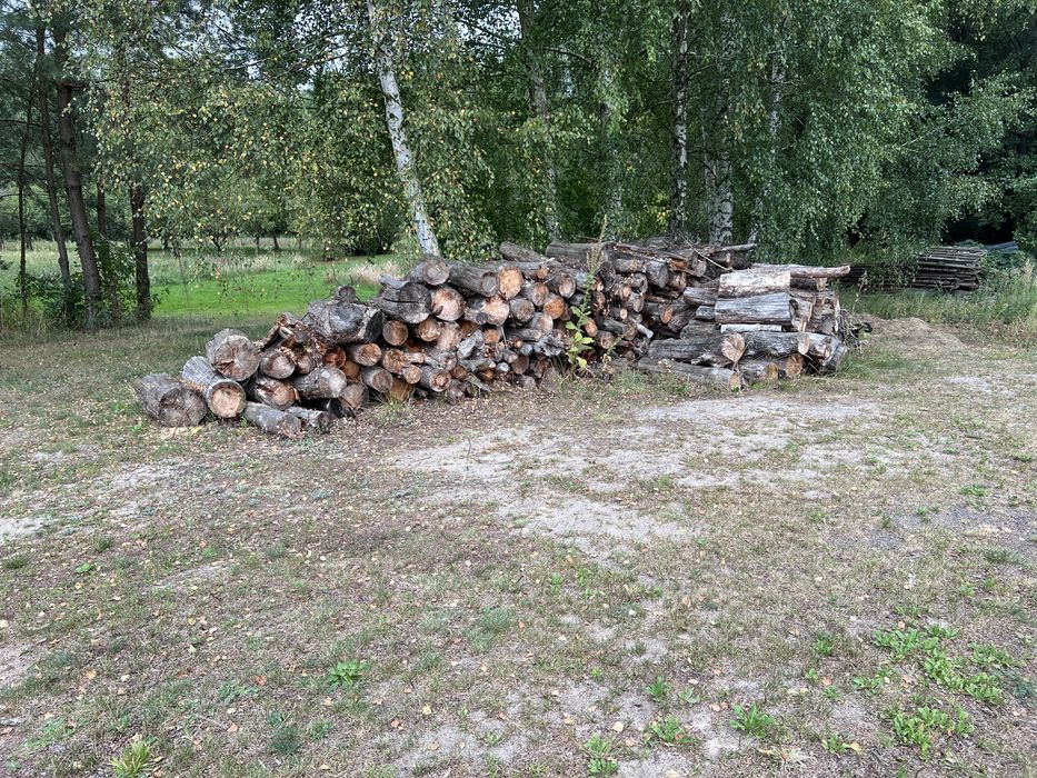 Drzewo Opałowe Sosna Dąb olcha mix