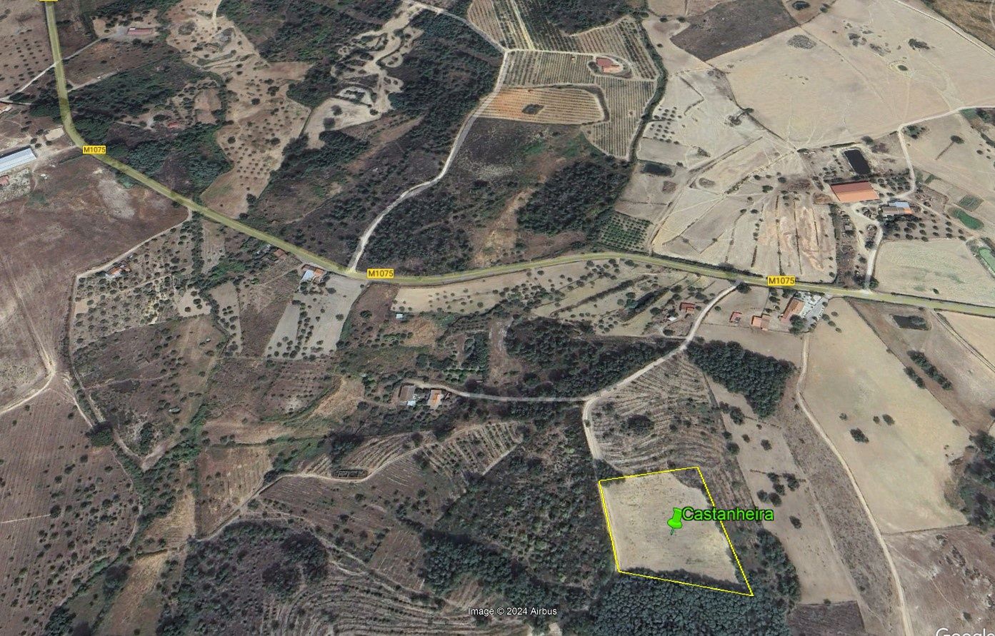 Terreno  com 6750 m2 em Catrão, Vale de Prazeres, Fundão.