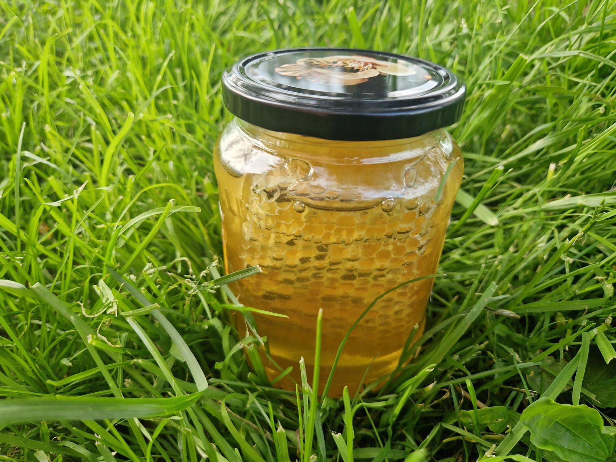 Miód akacjowy z plastrem miodu
