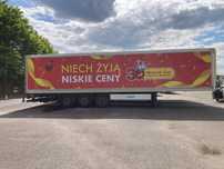 Kontener chłodnia, magazyn, garaz