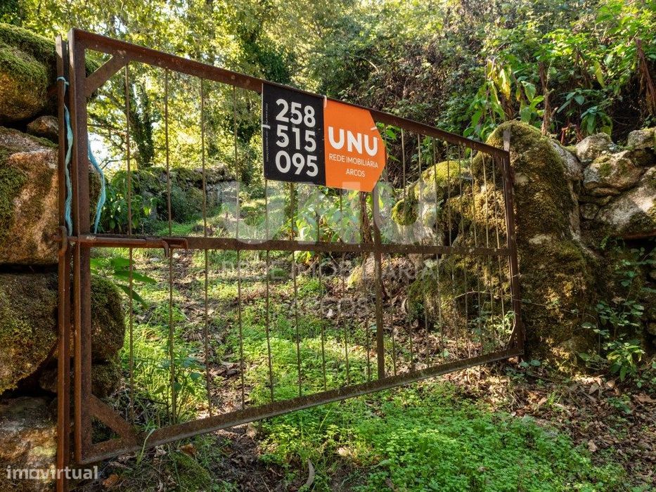 Bouça com carvalhos, pinheiros e castanheiros.