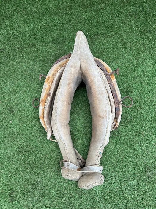 Jugo antigo, canga ou Coelheira para bovino