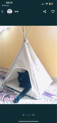Tipi dla kota namiot kot