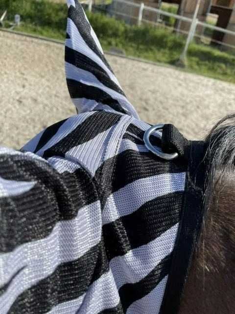 moskitiera maska dla konia na muchy z uszami zebra - pony