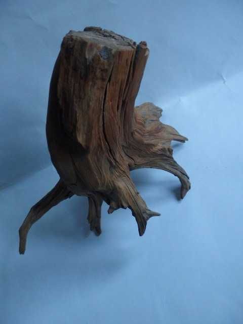 korzeń do terrarium pieniek drewniany drewno dekoracja ukrycie