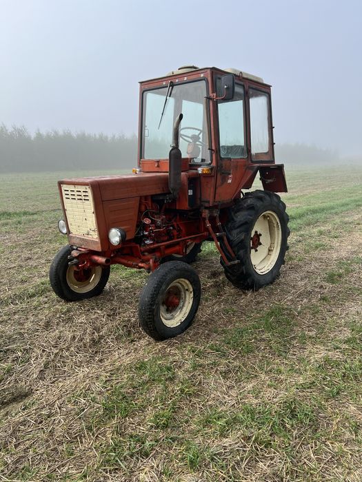 Wladimirec t 25 A1