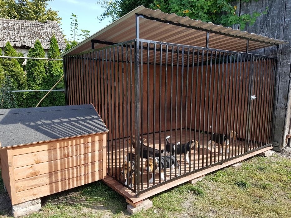 Kojec Klatka Zagroda Buda dla psa 3mx2m Montaż Gratis Solidny!