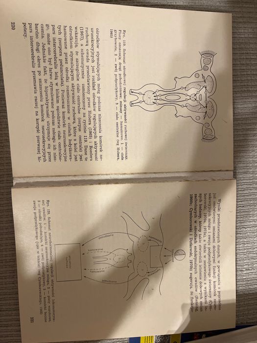 Książka Zegary biologiczne Bronisław Cymborowski