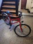 Rower Ragazzi Liner