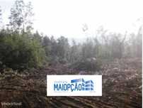 Terreno Rustico em Monte Cordova