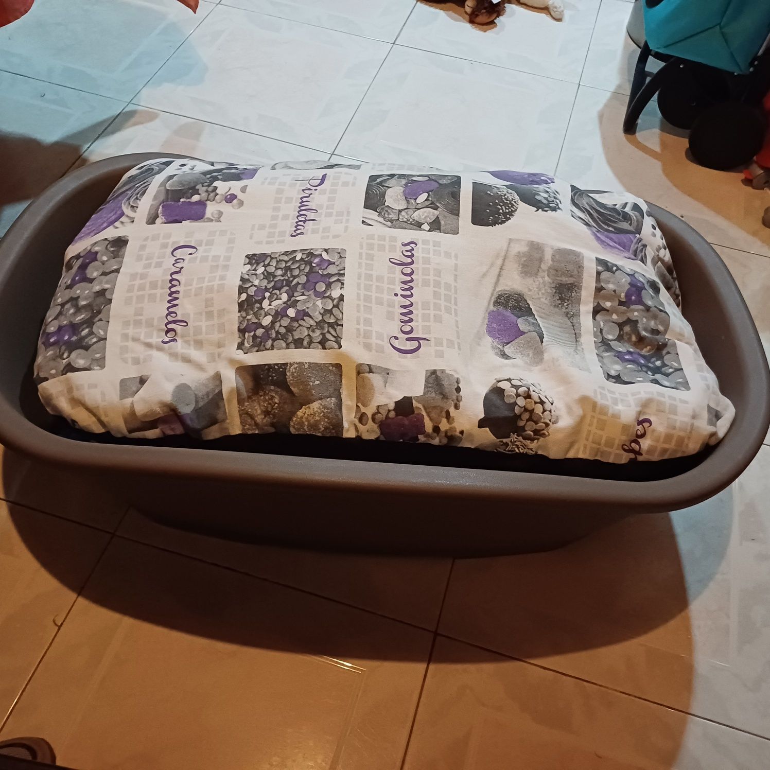 Cama de cão com colchões