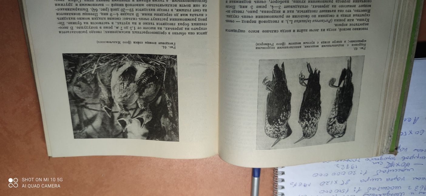 Книга"Биология лесных птиц и зверей" 1966 г
