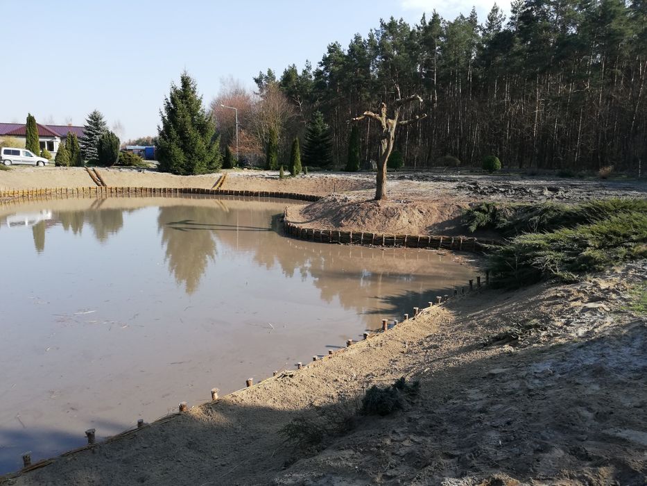 Faszynowanie stawów