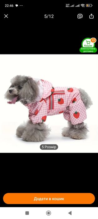 Одежда для собак