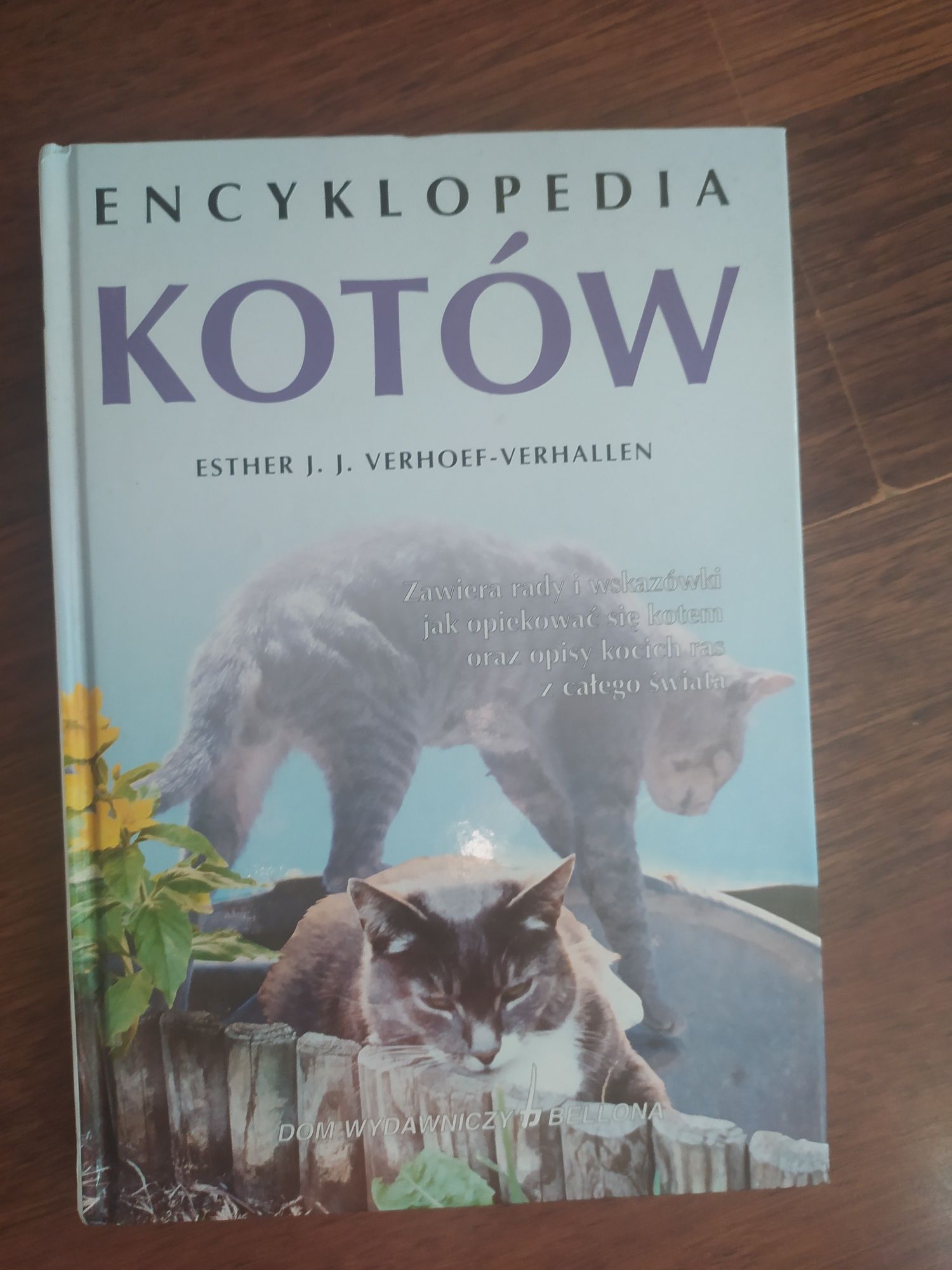 Encyklopedia kotów